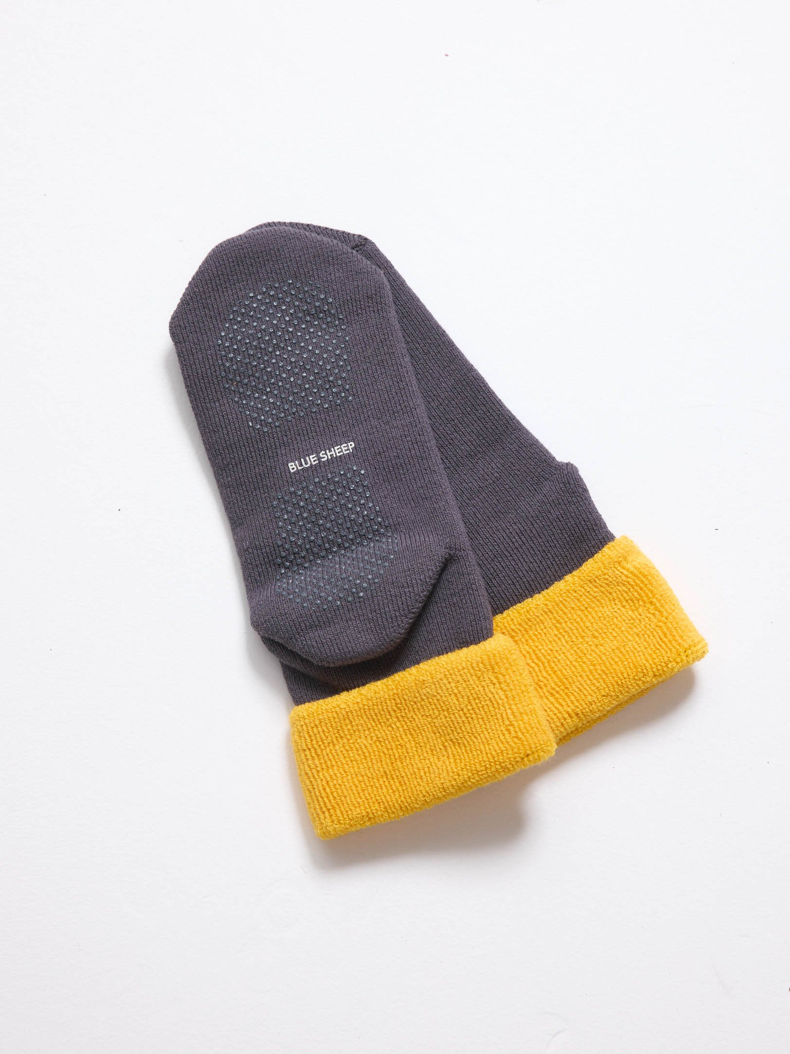 Pantumedia Paulette